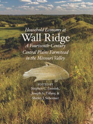 cover image of Household Economy at Wall Ridge